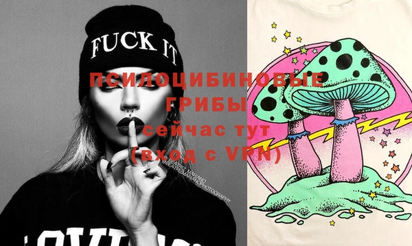 гидропоника Белокуриха