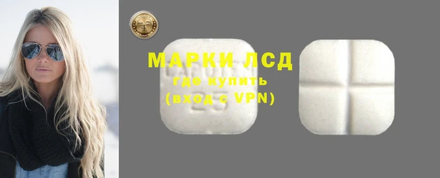 гидропоника Белокуриха