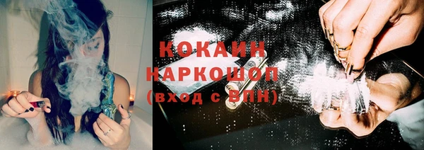 гидропоника Белокуриха