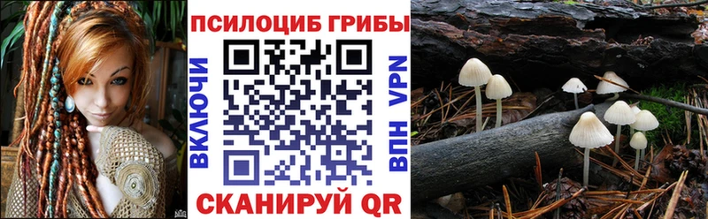 нарко площадка официальный сайт  Верхотурье  Псилоцибиновые грибы Cubensis 